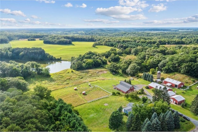 2929 170th St, Frederic, WI 54837 - bird's eye view of a large body of water and a forest