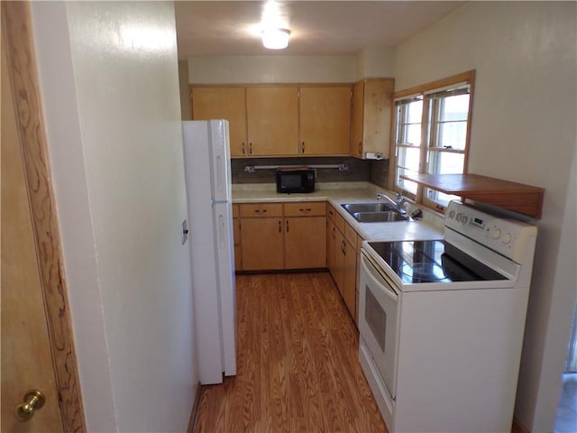 3212 Venus Ave, Eau Claire, WI 54703 - kitchen featuring white appliances, a sink, light wood-style flooring, light brown cabinetry, and light countertops