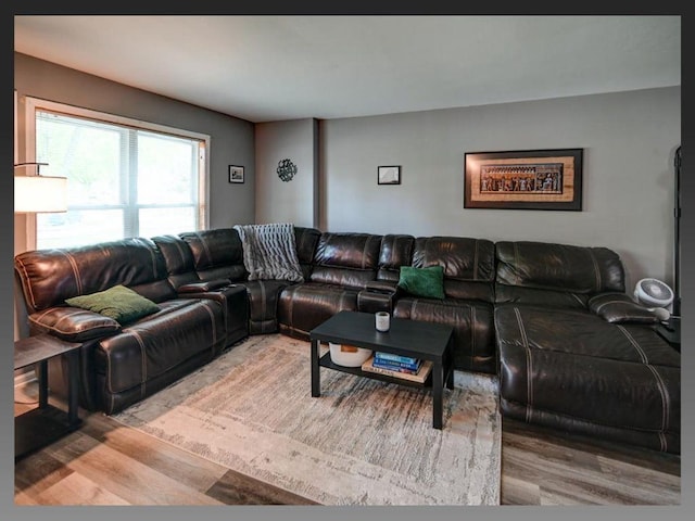 6710 Park Ridge Dr Unit B, Madison, WI 53719 - living room featuring wood finished floors