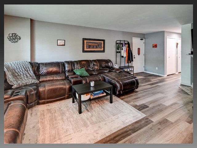 6710 Park Ridge Dr Unit B, Madison, WI 53719 - living room featuring wood finished floors and baseboards
