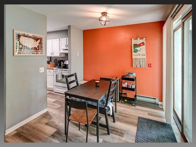 6710 Park Ridge Dr Unit B, Madison, WI 53719 - dining area featuring a baseboard radiator, light wood-style flooring, and baseboards