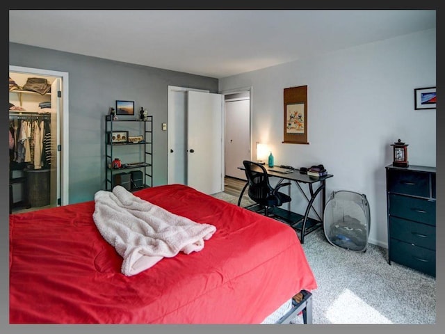 6710 Park Ridge Dr Unit B, Madison, WI 53719 - bedroom with a closet, carpet, and baseboards