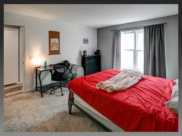 6710 Park Ridge Dr Unit B, Madison, WI 53719 - bedroom featuring carpet floors