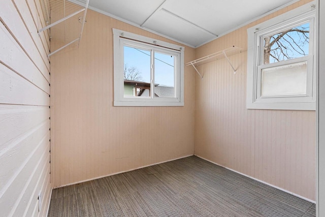 131 S Sidney St, Kimberly, WI 54136 - walk in closet with carpet floors