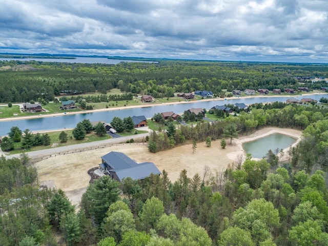 W5613 37th St, New Lisbon, WI 53950 - bird's eye view of a forest and a nearby body of water