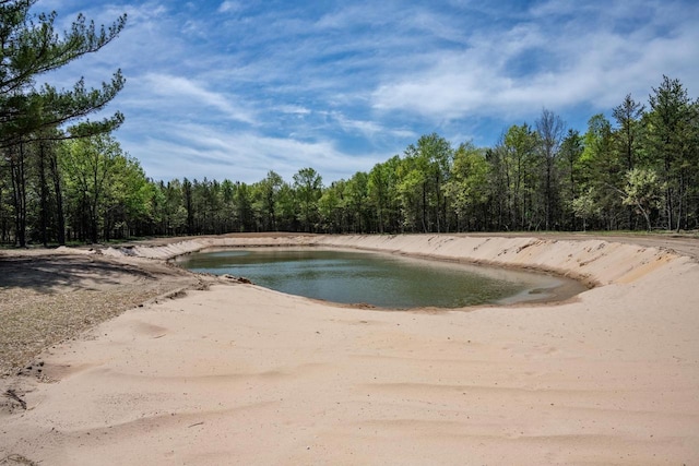 W5613 37th St, New Lisbon, WI 53950 - swimming pool featuring a view of trees and a water view