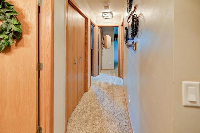 5438 Park Meadow Dr, Madison, WI 53704 - hallway with carpet