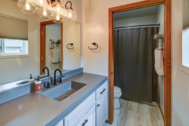 5438 Park Meadow Dr, Madison, WI 53704 - full bathroom with toilet, vanity, wood finished floors, a chandelier, and curtained shower