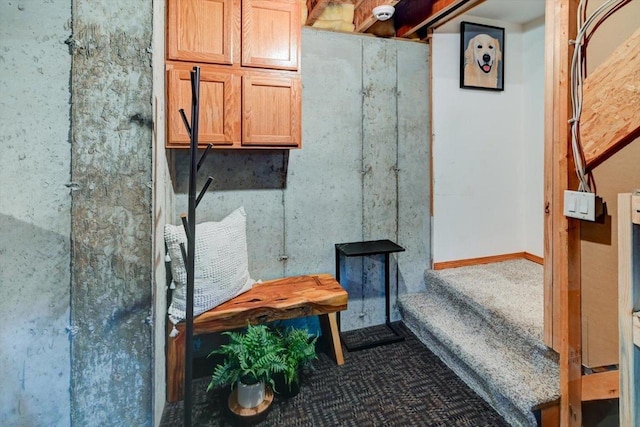 5438 Park Meadow Dr, Madison, WI 53704 - view of mudroom