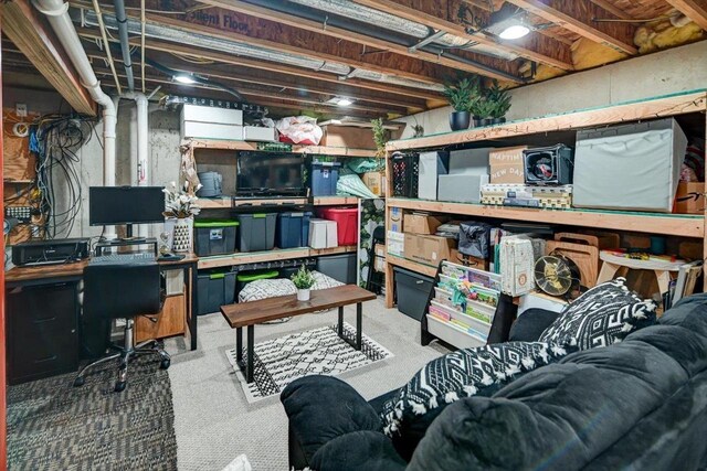 5438 Park Meadow Dr, Madison, WI 53704 - view of storage area