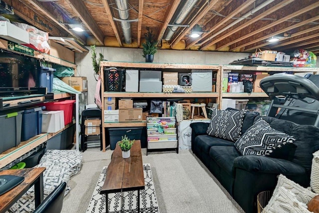 5438 Park Meadow Dr, Madison, WI 53704 - view of storage room