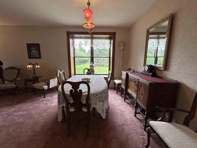 13412 Glacier Rd, Tomah, WI 54660 - dining room featuring carpet flooring and plenty of natural light