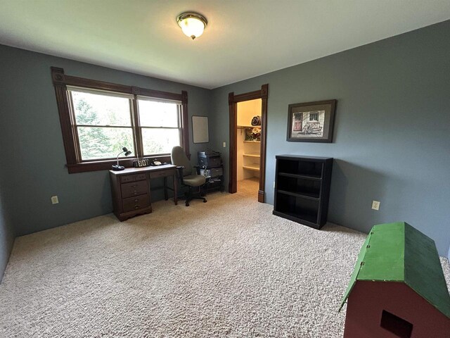 13412 Glacier Rd, Tomah, WI 54660 - office area with light carpet