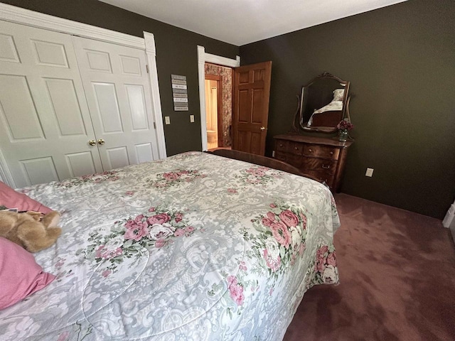13412 Glacier Rd, Tomah, WI 54660 - carpeted bedroom with a closet