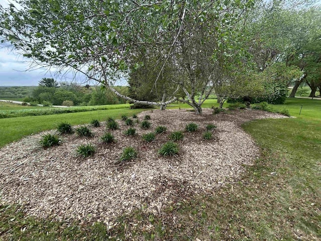 13412 Glacier Rd, Tomah, WI 54660 - view of green lawn