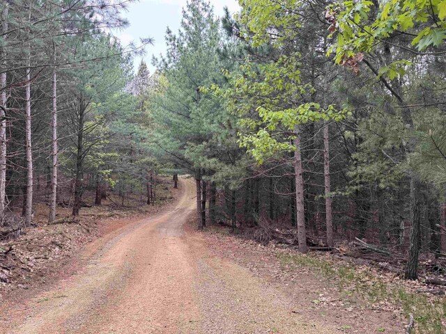 N4755 11th Dr, Montello, WI 53949 - view of dirt / gravel road featuring a forest view