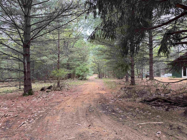 N4755 11th Dr, Montello, WI 53949 - view of road featuring a view of trees
