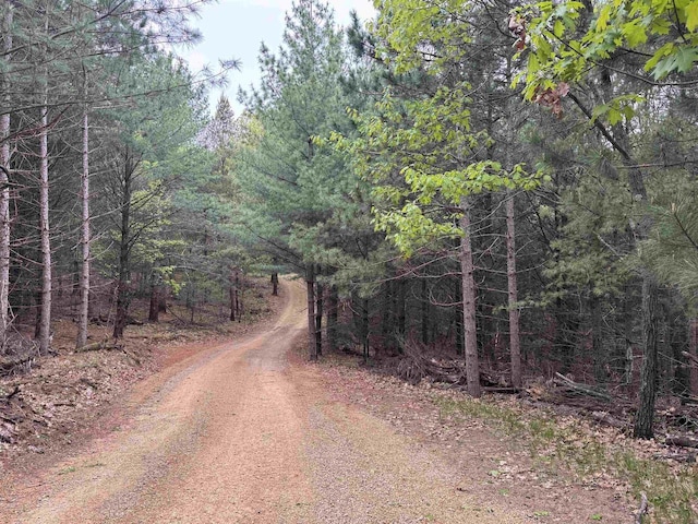 N4755 11th Dr, Montello, WI 53949 - view of dirt / gravel road with a view of trees