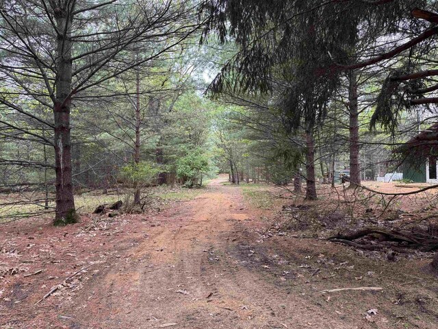 N4755 11th Dr, Montello, WI 53949 - view of street with a view of trees