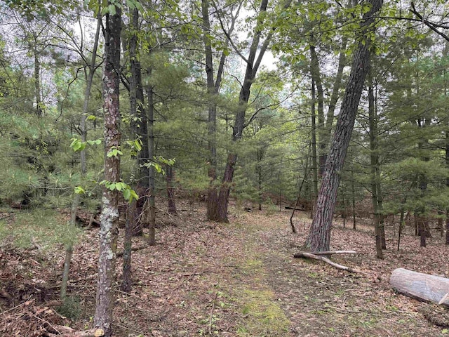 N4755 11th Dr, Montello, WI 53949 - view of woods