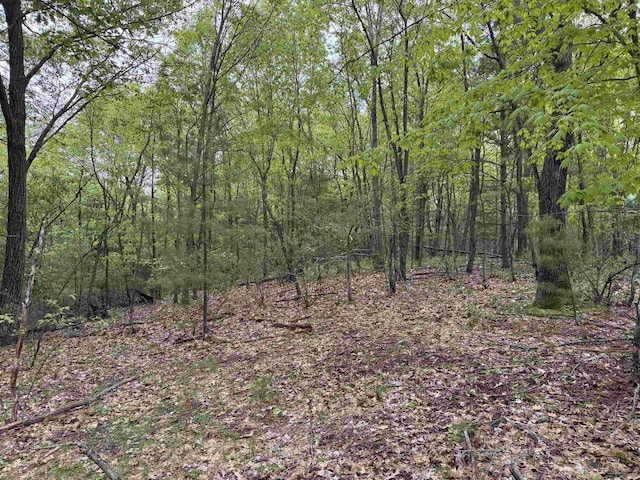 N4755 11th Dr, Montello, WI 53949 - view of tree filled area