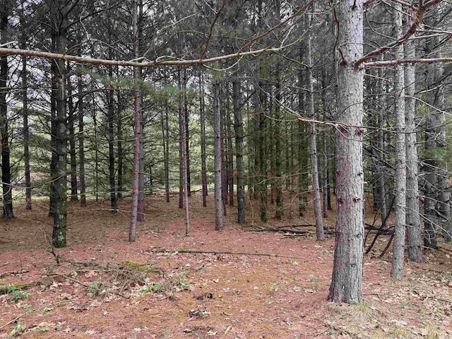 N4755 11th Dr, Montello, WI 53949 - view of woods