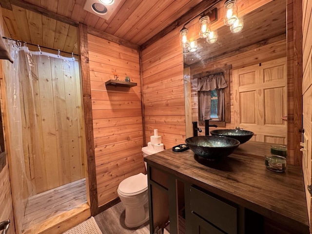 N4755 11th Dr, Montello, WI 53949 - full bathroom with wooden ceiling, toilet, vanity, wood walls, and wood finished floors