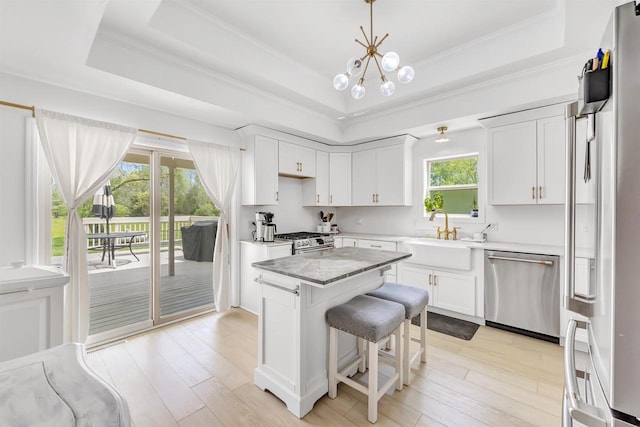 W6870 Czech Ln, Neshkoro, WI 54960 - kitchen with appliances with stainless steel finishes, a sink, a raised ceiling, a kitchen island, and ornamental molding