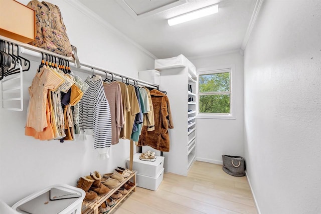 W6870 Czech Ln, Neshkoro, WI 54960 - walk in closet with wood finished floors