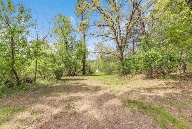 W6870 Czech Ln, Neshkoro, WI 54960 - view of yard featuring a view of trees
