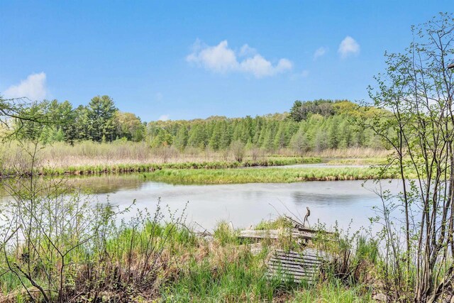 W6870 Czech Ln, Neshkoro, WI 54960 - water view featuring a heavily wooded area