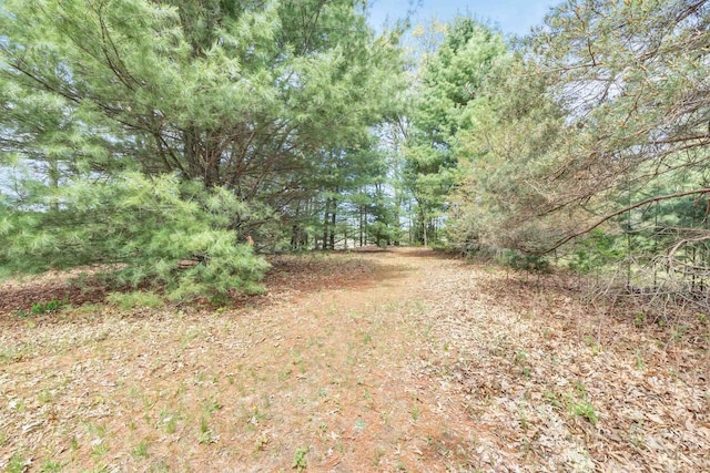 W6870 Czech Ln, Neshkoro, WI 54960 - view of yard with a view of trees