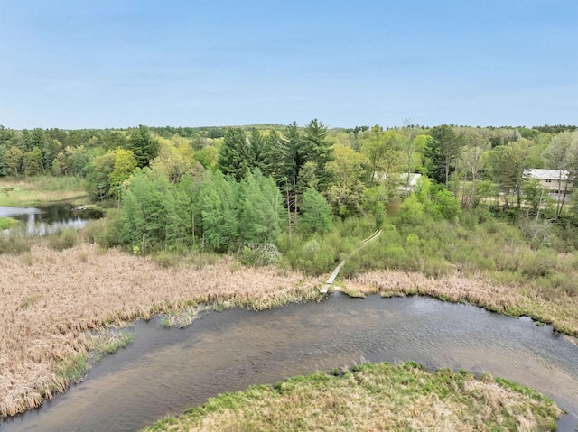W6870 Czech Ln, Neshkoro, WI 54960 - drone / aerial view of a heavily wooded area