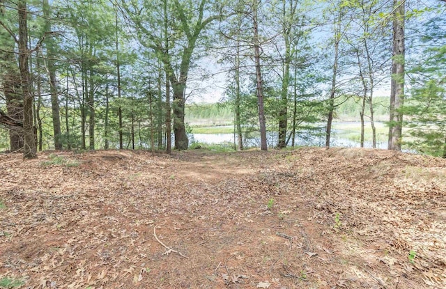 W6870 Czech Ln, Neshkoro, WI 54960 - view of undeveloped land with a nearby body of water