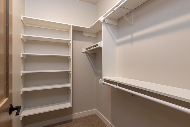 365 N Wilson St, Kimberly, WI 54136 - spacious closet with dark carpet
