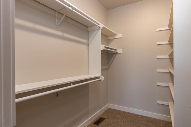365 N Wilson St, Kimberly, WI 54136 - spacious closet with carpet