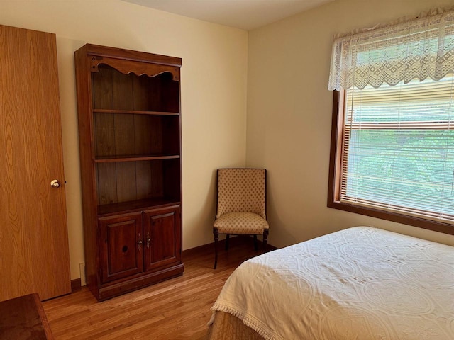 W9519 Skogen Rd, Cambridge, WI 53523 - bedroom with light wood-style flooring