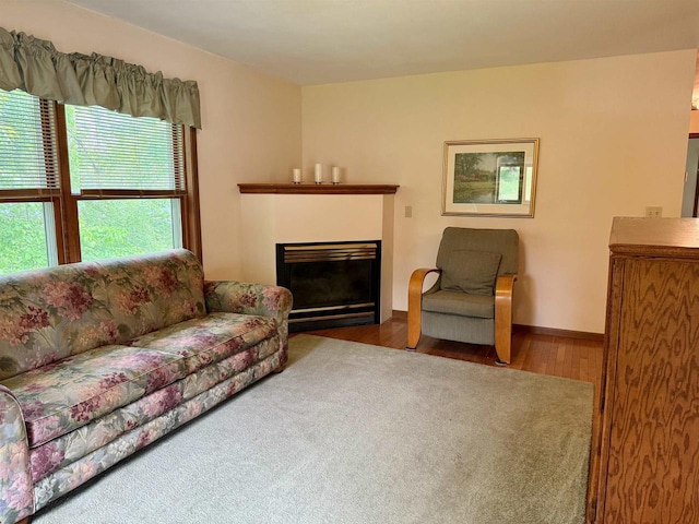 W9519 Skogen Rd, Cambridge, WI 53523 - living area featuring a glass covered fireplace and wood finished floors