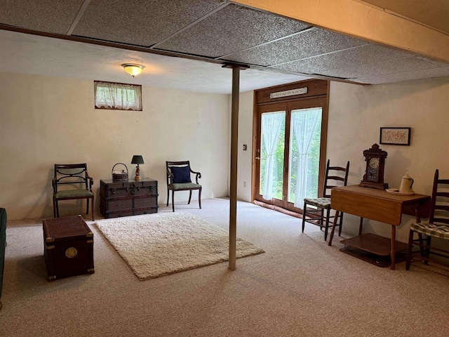 W9519 Skogen Rd, Cambridge, WI 53523 - below grade area with carpet flooring