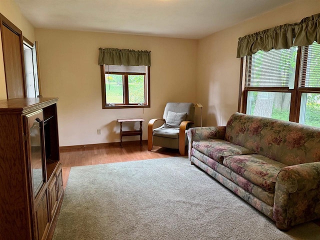 W9519 Skogen Rd, Cambridge, WI 53523 - living room featuring carpet, wood finished floors, and baseboards