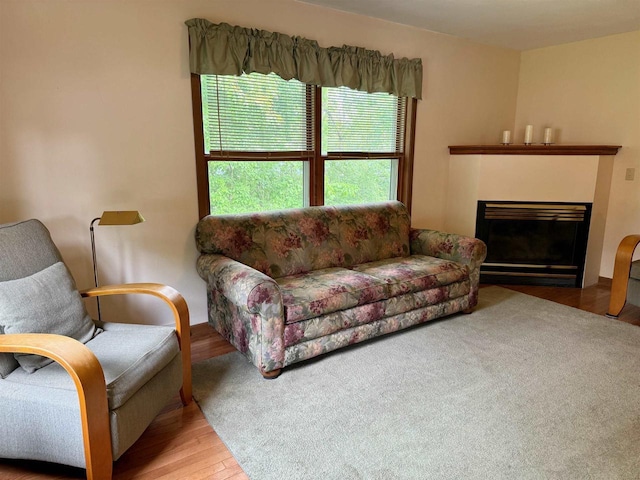 W9519 Skogen Rd, Cambridge, WI 53523 - living room with wood finished floors and a glass covered fireplace