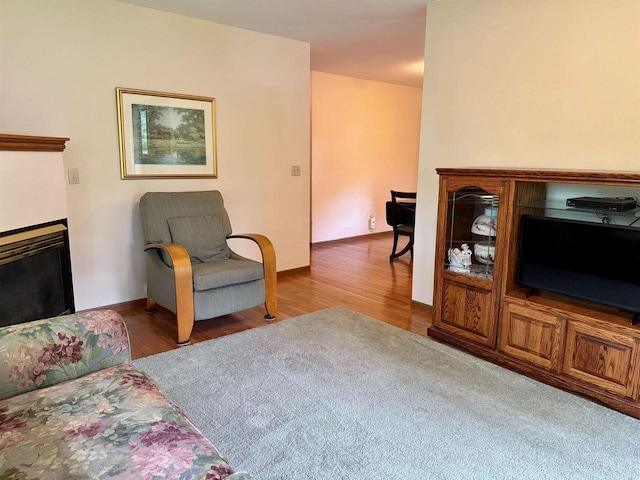 W9519 Skogen Rd, Cambridge, WI 53523 - living area featuring a glass covered fireplace, wood finished floors, and baseboards