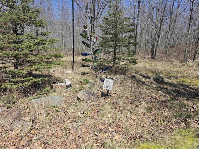 2284 Spirit Ln, La Pointe, WI 54850 - view of yard featuring a view of trees