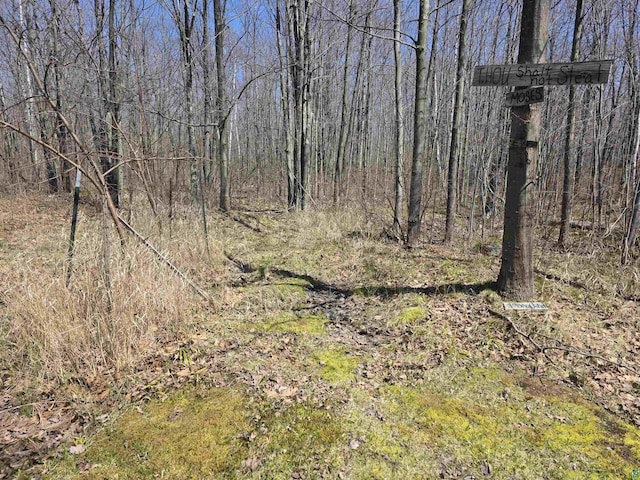 2284 Spirit Ln, La Pointe, WI 54850 - view of undeveloped land