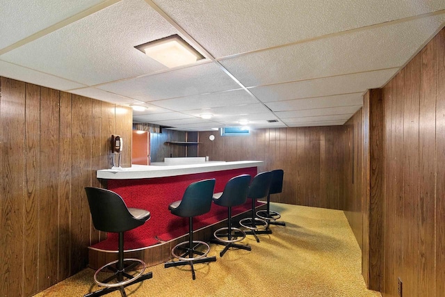 430 Fairview Way, Shawano, WI 54166 - indoor dry bar with wooden walls and carpet floors