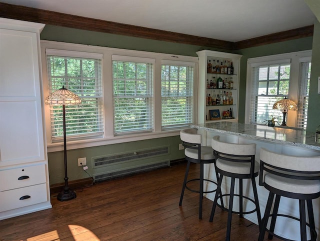 109 Doty St, Fremont, WI 54940 - indoor dry bar featuring radiator, dark wood-type flooring, and baseboards