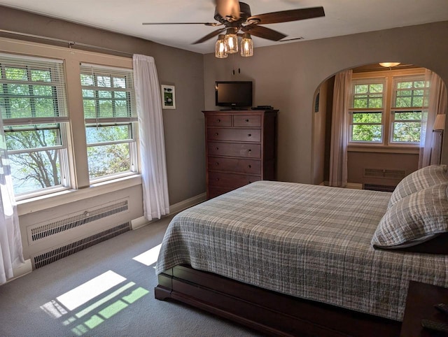 109 Doty St, Fremont, WI 54940 - bedroom featuring radiator, multiple windows, arched walkways, and carpet floors