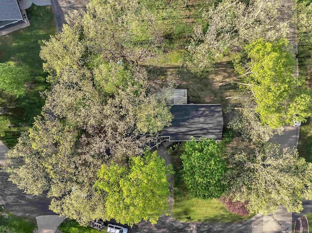 600 Honey Bear Ct, Waupaca, WI 54981 - drone / aerial view