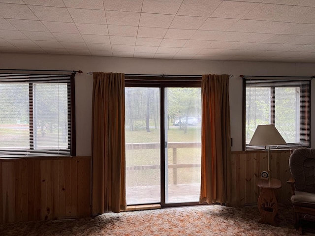 W5946 Beach Dr, New Lisbon, WI 53950 - entryway with healthy amount of natural light, carpet, wooden walls, and a wainscoted wall