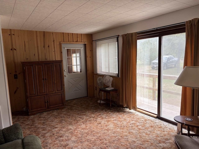 W5946 Beach Dr, New Lisbon, WI 53950 - entryway featuring wooden walls, plenty of natural light, and carpet flooring
